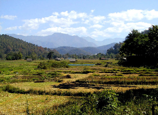 Refreshing Field Fields-and-mountains