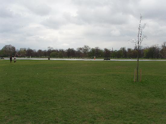 Пикник поляни Round-pond-hyde-park