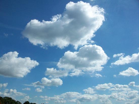 ادخل وشوف بالصور ماقالة النبي من الاف السنين واثيتة العلم الحديث Blue-skies