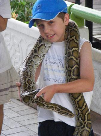   3   . Liam-handling-the-snake