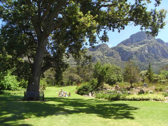 جوله سياحيه في جنوب افريقيا Summer-s-day-at-kirstenbosch