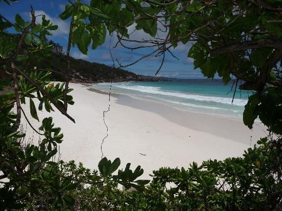 paradisi ...naturali, perchè in fondo siamo tutti ecologisti - Pagina 2 Petite-anse