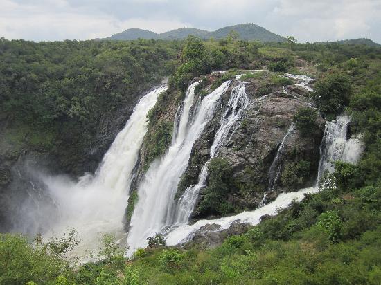 أعظم وأجمل وأهدئ وأروع شلالات العالم (من تجميعى) Shivasamudram-falls