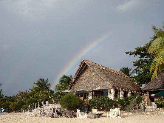 Барът и ресторант "Love Cat" Rainbow-over-the-club