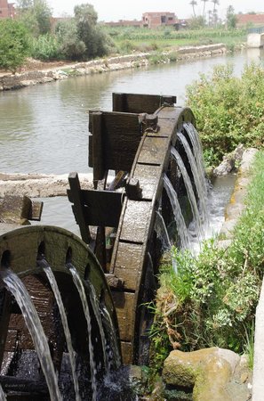 صور من مدينة الفيوم Waterwheels-in-al-faiyum