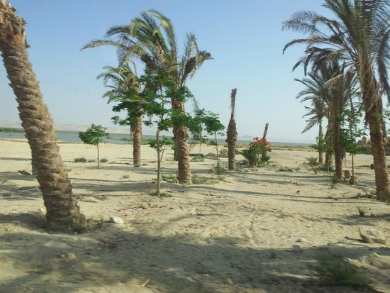 صور من مدينة الفيوم Al-fayoum-oasis