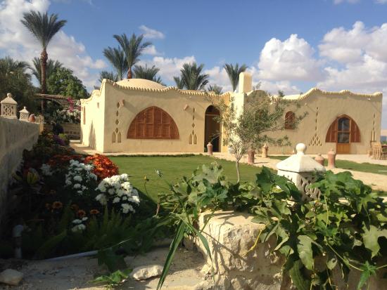 صور من مدينة الفيوم Kom-el-dikka-agri-lodge