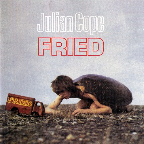 ¿Qué estáis escuchando ahora? - Página 3 Julian-Cope-Fried-1984