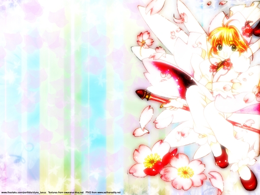 تقرير عن انمي Sakura Card Captor  Caption-148435-20081126104042