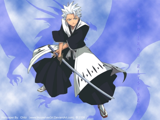 Hitsugaya Shadow Caption-32646-20080518201130