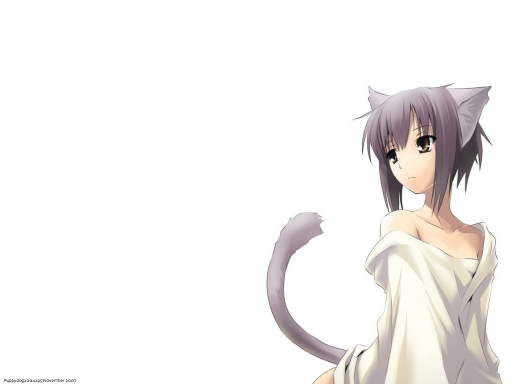 &#9679;&#1203;&#824;&#1202;&#824;&#1203;&#9679;    ( cat Anime )   &#9679;&#1203;&#824;&#1202;&#824;&#1203;&#9679; Caption-327047-20071109192819