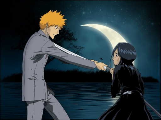 تقرير خاص ببطل Anime Bleach Kurosaki Ichigo Caption-489847-20090708202758