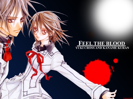 Vampire Knight Caption-553255-20080601084046