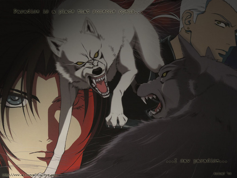 Wolf's rain Wolfsrain_1_800