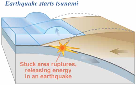 13 consejos de supervivencia ante un Tsunami. Fig06