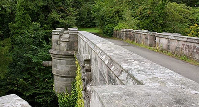 Cementerios naturales de animales ¿Mito o realidad? OvertounBridge-650x350