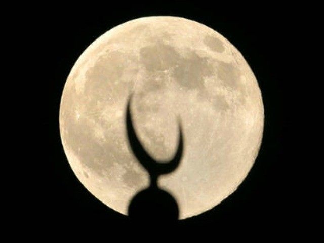 Absurd Cato Project: Islam ‘Consistent’ with ‘Libertarian Principles’, ‘Tolerance’, ‘Individualism’ Islamic-crescent-AP-640x480