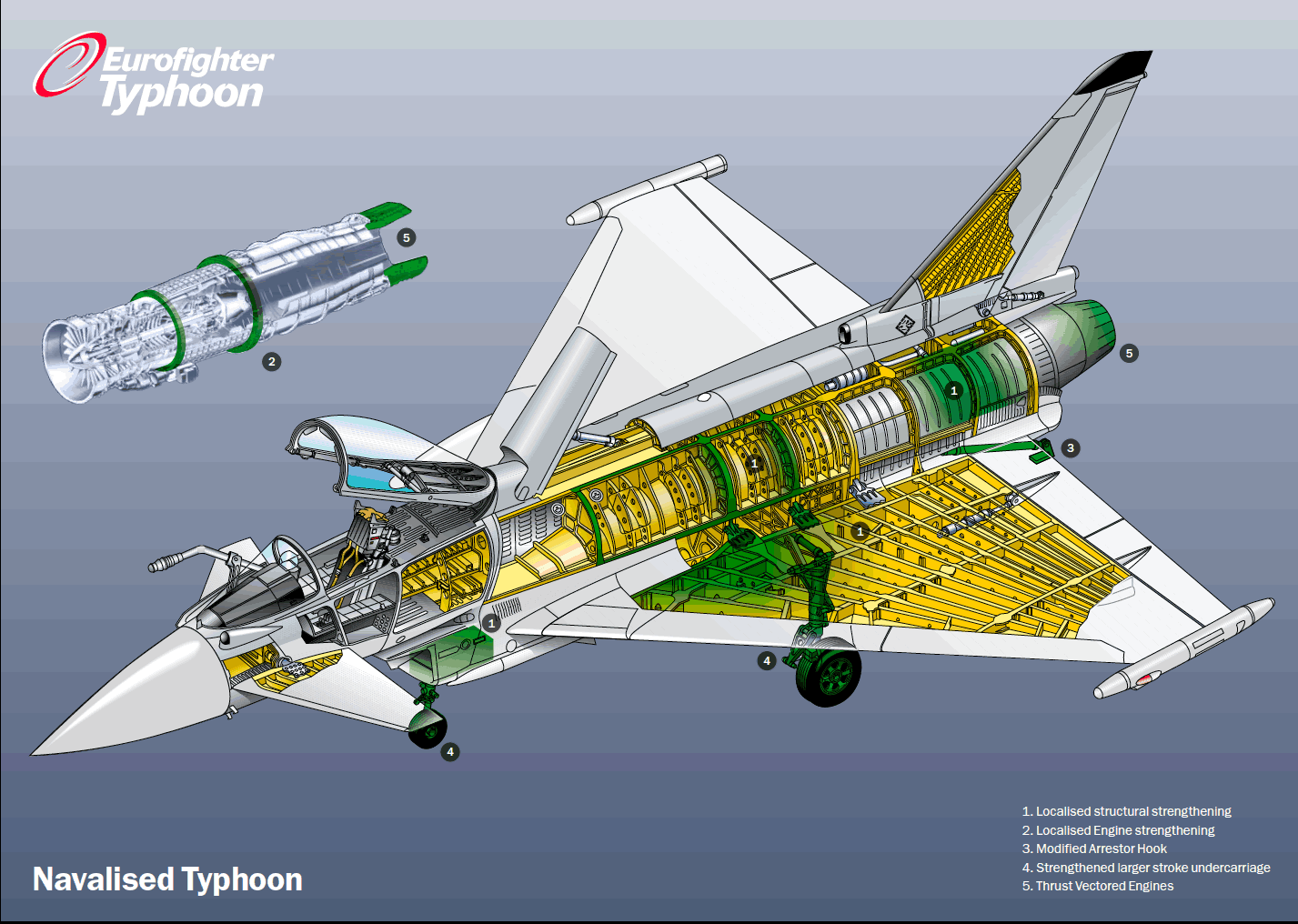 Eurofighter Typhoon - Photo AIR_Eurofighter_Naval_Cutaway_New_lg