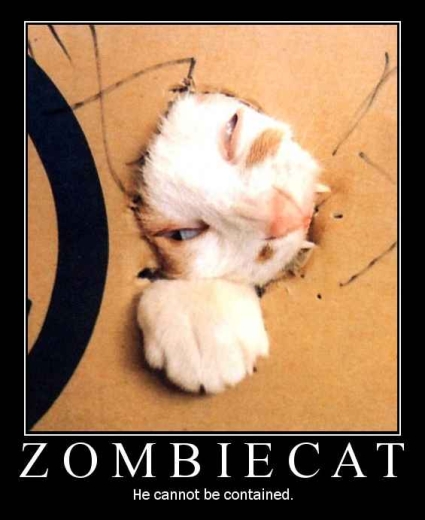 Bash Kill and...here comes the LOOT! Zombiecat