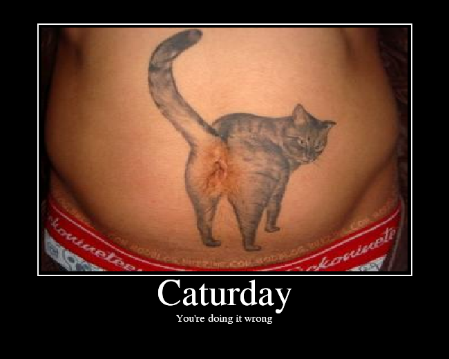 Caturday!!! Caturday