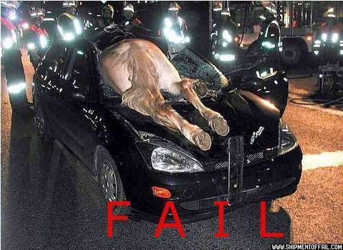 صور من هنا وهناك Horsevscarfail