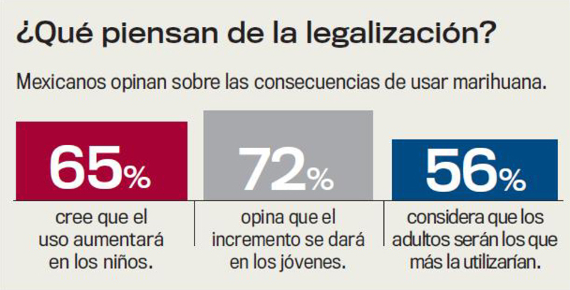 Legalización de drogas y seguridad pública - Página 2 MARIHUANA