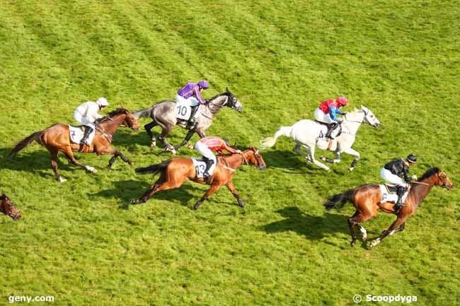 Prix La Barka 2014 (H., Gr.II, Auteuil) 18-05 : Thousand stars Photo_arrivee_614906