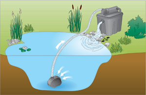 cherche conseil pour filtration bassin extérieur Filtre-bassin-schema