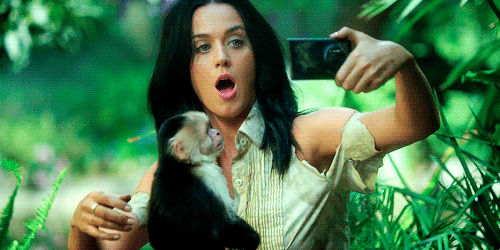 KATY PERRY - Pagina 4 Giphy
