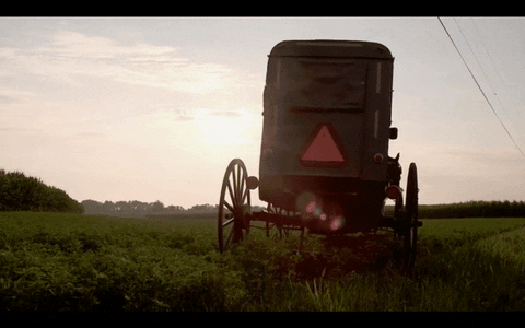 Amish group [X/X] Giphy