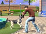 post oficial wii The-sims-2-pets-20070420114923521_thumb