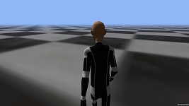 Movement Test