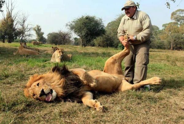 Images insolites de la semaine Lion-massage-patte-mini