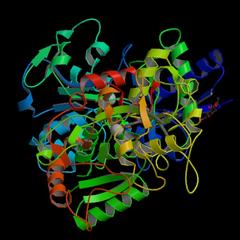 Protein Stucture and Function Image%20transferrin_medium