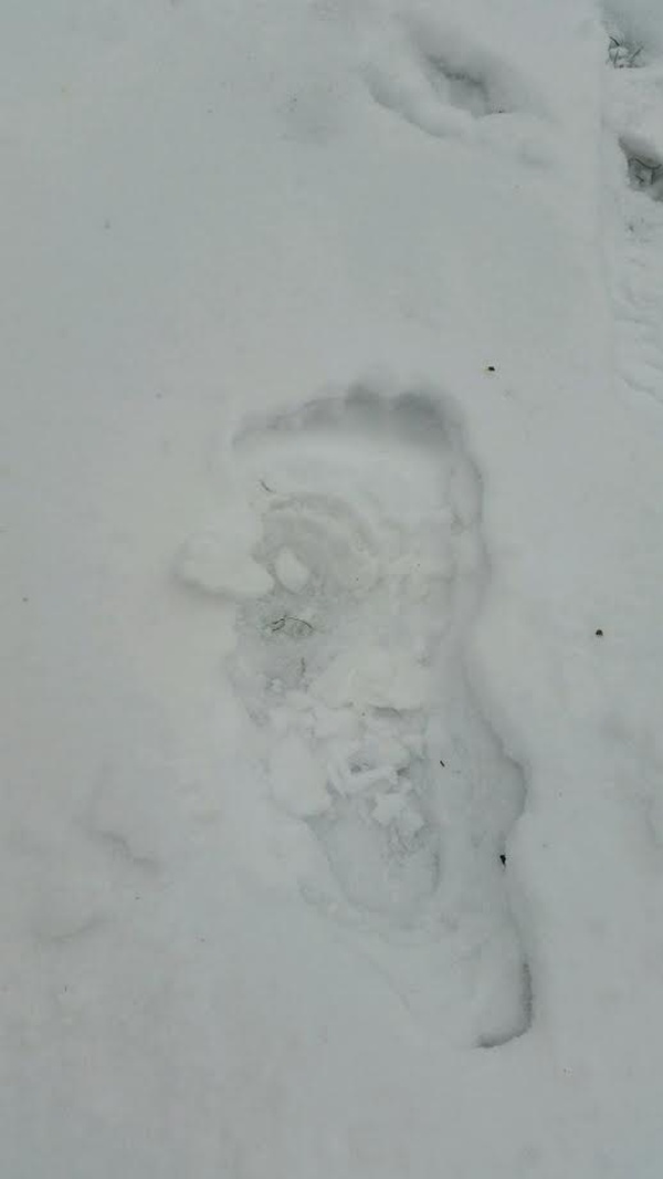 On the trail of Bigfoot in North Dakota? E80f18b2350f286f4df75a9b1651a447