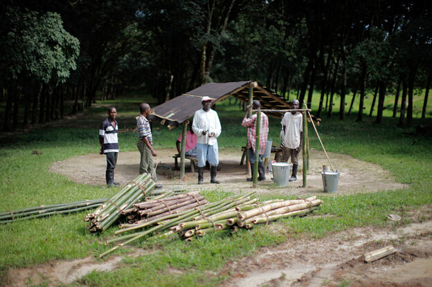 Firestone Did What Governments Have Not: Stopped Ebola In Its Tracks Firestone-plantation_custom-8ea21759f03de9f94ff475ea53dfd447e220f69d-s4-c85