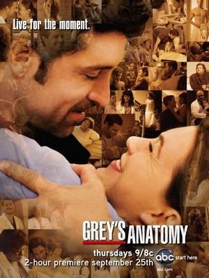 Grey's Anatomy Promo-greys-anatomy-saison-5-affiche-L-1