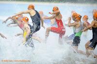 Bilan sportif de ce week-end Triathlon-cest-reparti-arbitres-L-1