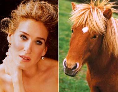 [Débat] Jolie ou pas ? - Page 3 Sarah-jessica-parker-ressemble-cheval-sarahje-L-1