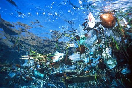 horreur des festivals marins! Mysterieuse-ile-dechets-pacifique-L-1