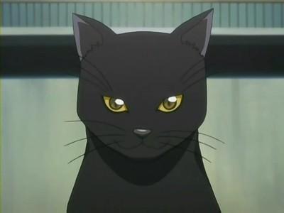 Présentation de nuit Article-chats-lunivers-manga-L-12