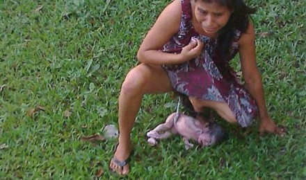 VIDEO: Mujer da a luz en el jardín de un hospital. Suspenden a personal del hospital.... BVs-wuGCUAEtIbx-f-440x260