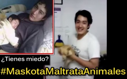 VIDEO: Anonymous amenaza a empleados de Maskota que maltrataron a perros MASKOTA-440x272