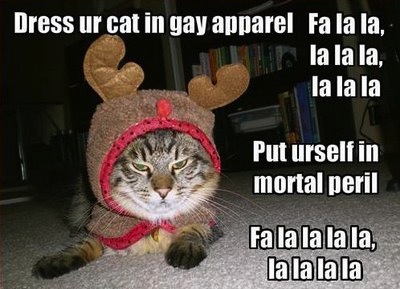 it's a CAT-ass-trophy!!!!!!! Christmas_kitty