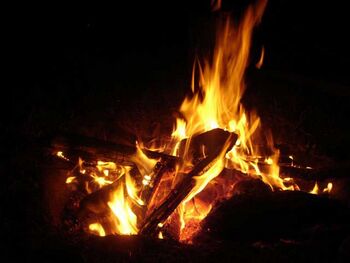 près du feu ou les histoire fusent et le repas s'enchaine avec joie 350px-Feu_de_camp