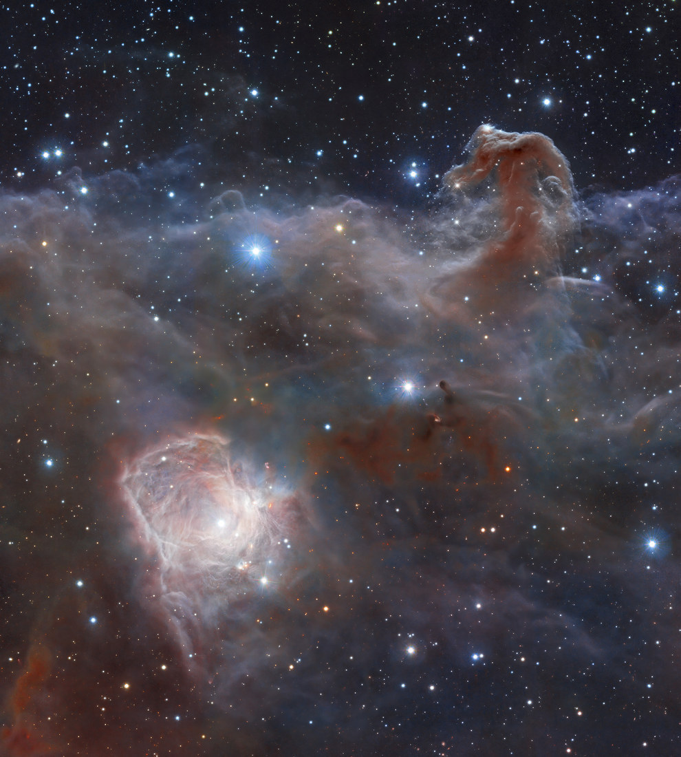 Stelle Galassie Nebulose Buchi neri - Pagina 12 Horsehead-nebula