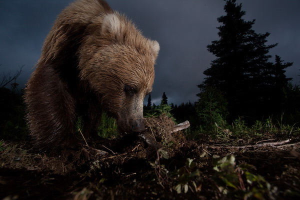 Những tấm ảnh thắng giải National Geographic 2012 B13resize