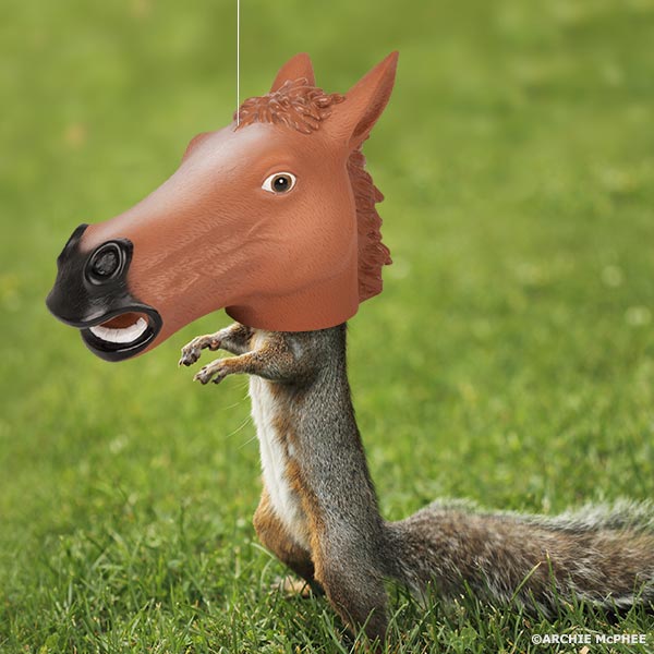 Des cadeaux sympas Horse_head_squirrel_feeder_1