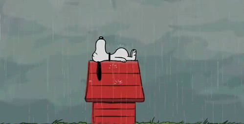 le post qui detend ... - Page 5 Snoopy