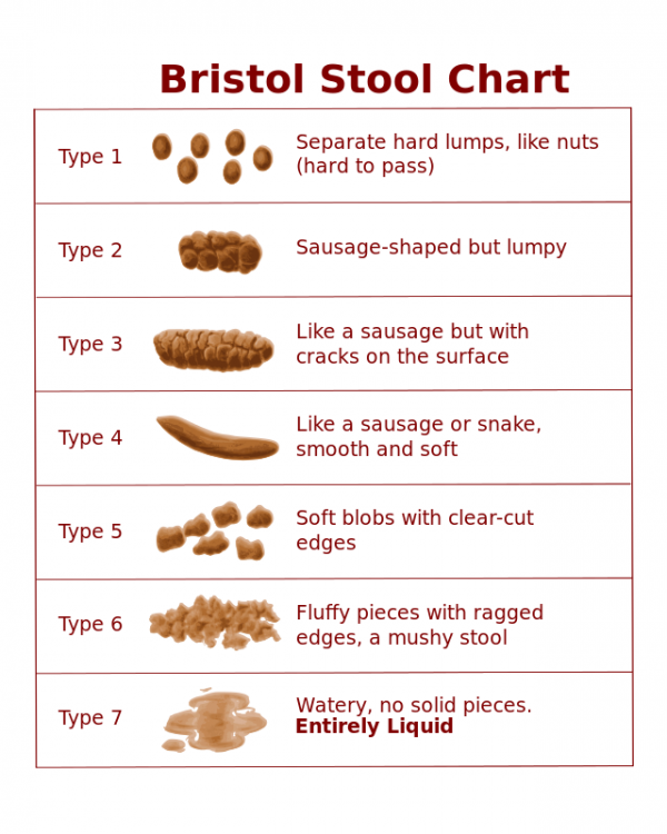 Le fil où on dit merde ! - Page 7 640px-Bristol_stool_chart.svg_-600x750